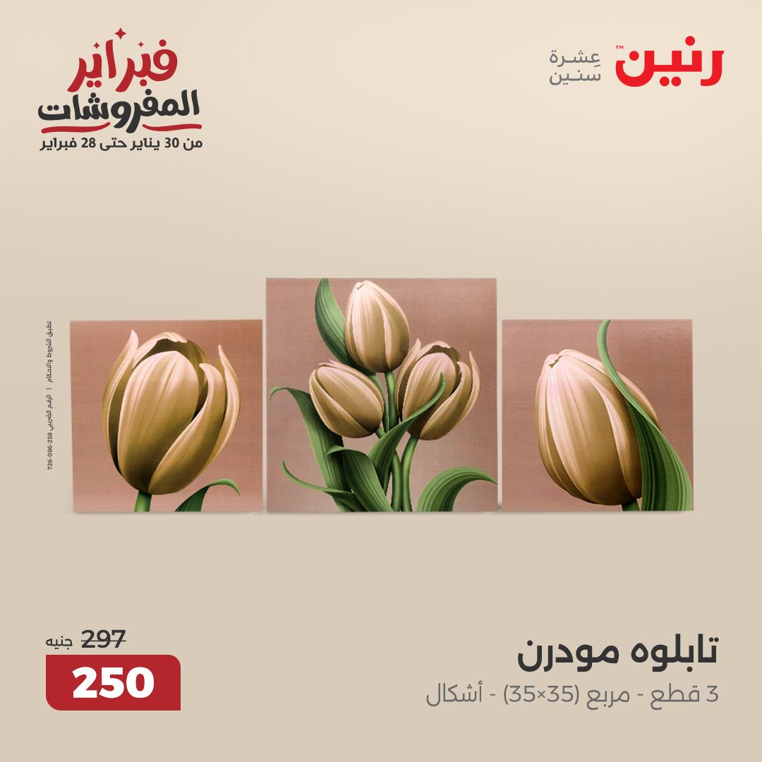raneen offers from 13feb to 15feb 2025 عروض رنين من 13 فبراير حتى 15 فبراير 2025 صفحة رقم 6